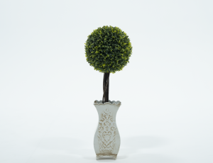 Round Topiary in White Vase