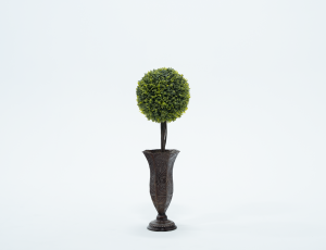 Round Topiary in Dark Urn
