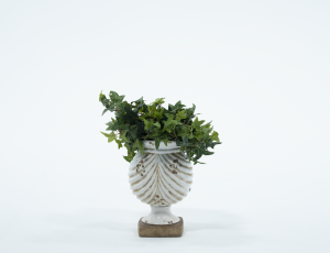 White Ivy Planter