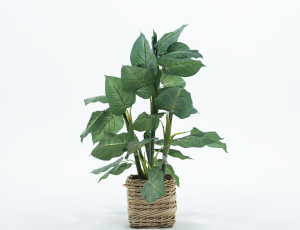 Woven Planter with Greenery