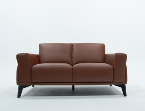 Leather Loveseat