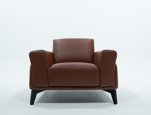 Brown Leather Armchair