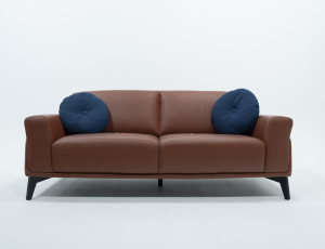 Leather Sofa w/ Blue Pillows